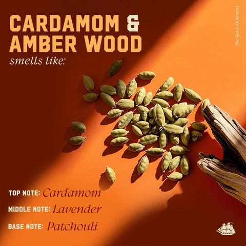 Old Spice Men's Shampoo, The Spice Alchemist Collection, Cologne-Infused Cardamom and Amber Wood Scent, Free of Parabens & Phthalates, 20.0 fl oz