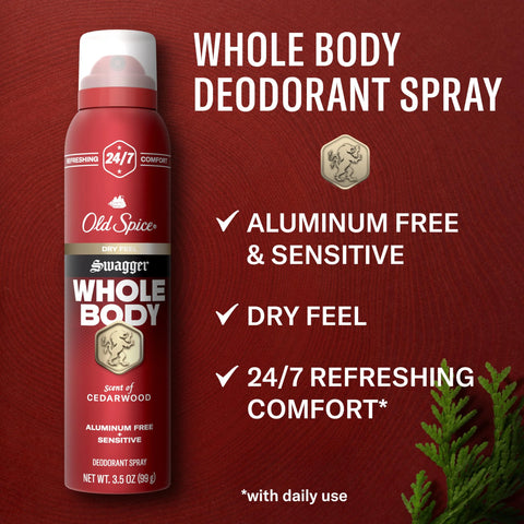 Old Spice Whole Body Deodorant for Men, Swagger, Aluminum Free Spray for 24/7 Freshness // Dermatologist Tested Whole Body Deodorant, 99g
